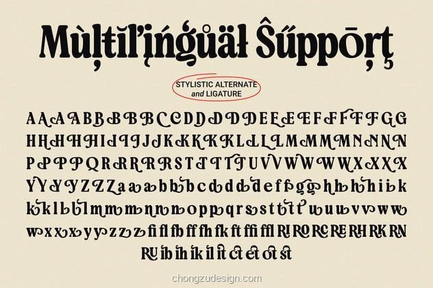 90年代复古怀旧衬线英文字体品牌包装预览8