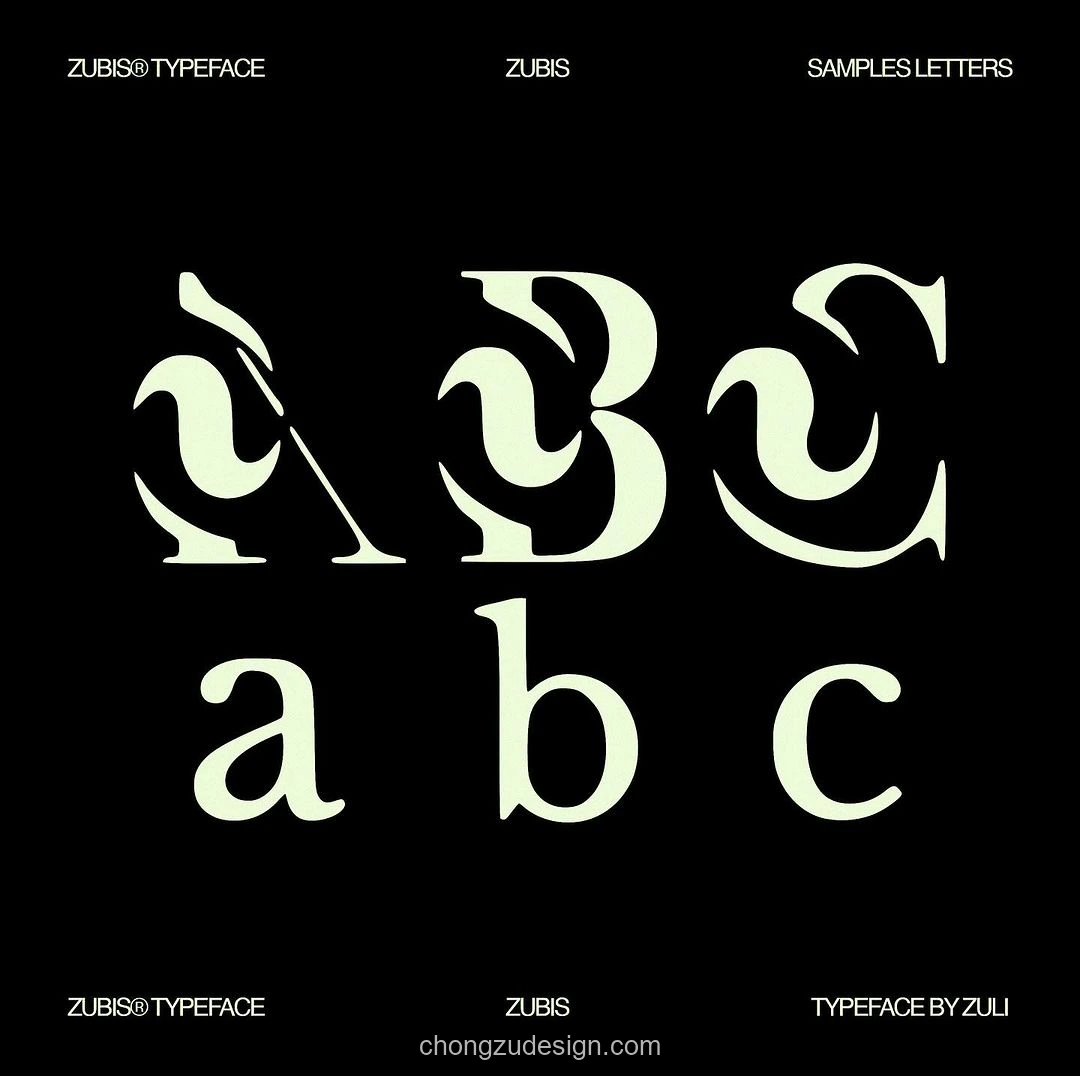 复古Y2K抽象艺术曲线衬线Logo标题装饰英文字体（0371）效果展示图 4/6